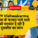 Artisan Govt Benefit: पीएम विश्वकर्मा योजना के लाभार्थियों को सरकार दे रही है टूलकित का लाभ