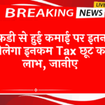 FD Scheme vs Gold: एफडी से हुई कमाई पर इतना मिलेगा इनकम टैक्स छूट का लाभ, जानिए